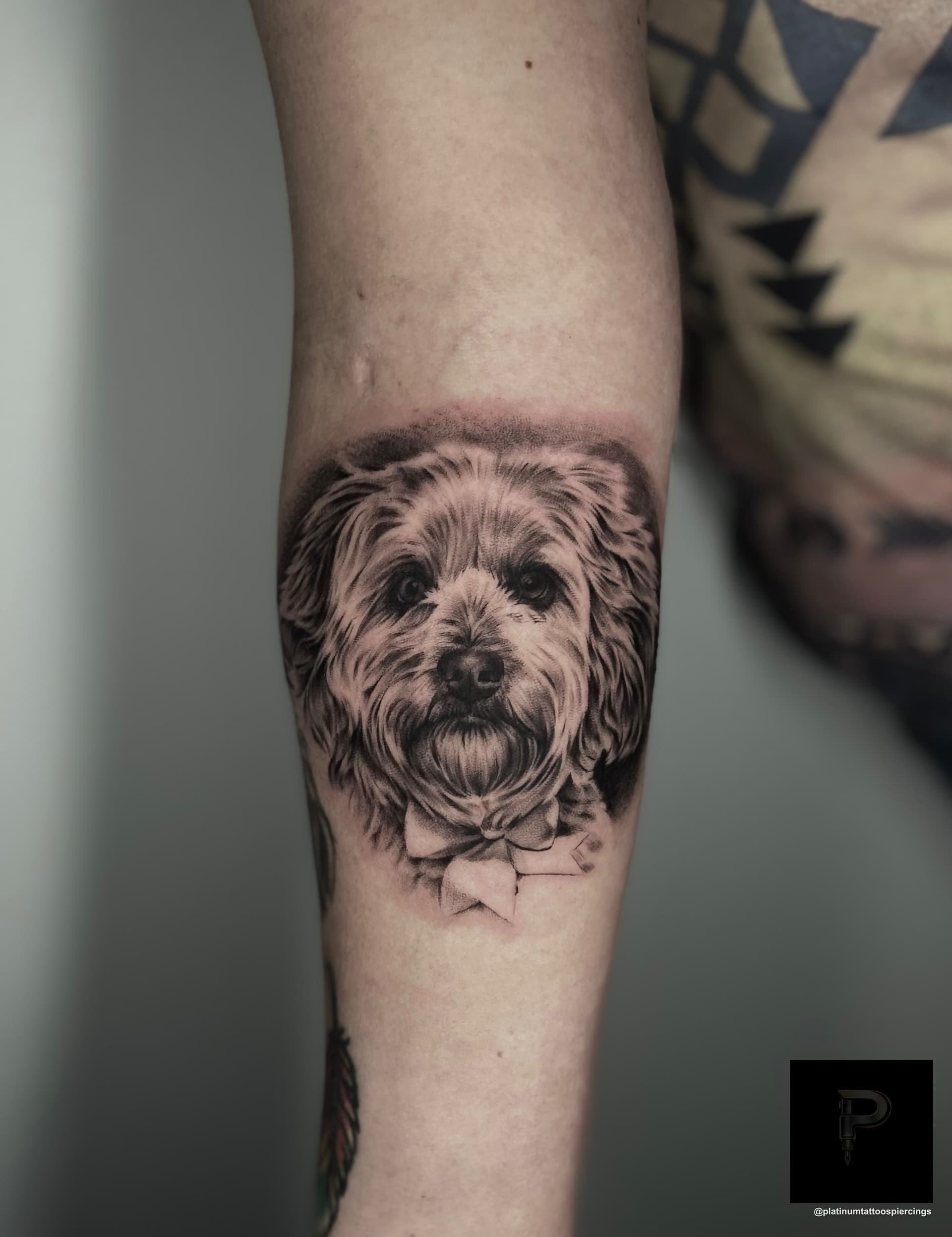 Pet Portrait tattoo on the Forearm by Remy at Platinum Tattoos & Piercings, San Antonio TX