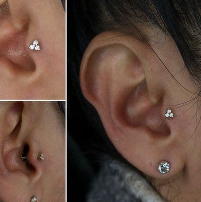 Tragus Piercing | Threadless | 14k Yellow Gold | Platinum Body Piercings, North Star Mall, San Antonio TX