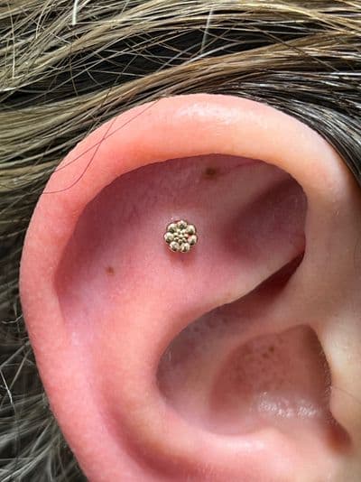 Flat Piercing | Threadless | 14k Rose Gold | Platinum Body Piercings, North Star Mall, San Antonio TX