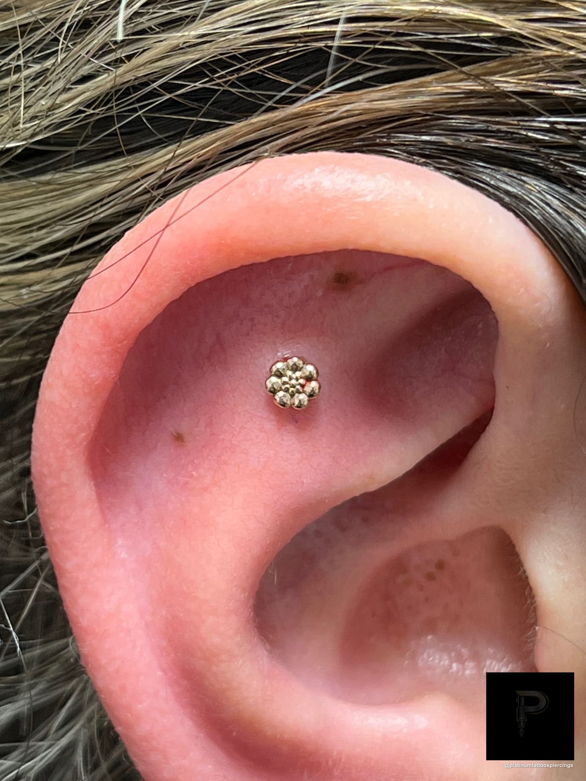Flat Piercing | Threadless | 14k Rose Gold | Platinum Body Piercings, North Star Mall, San Antonio TX