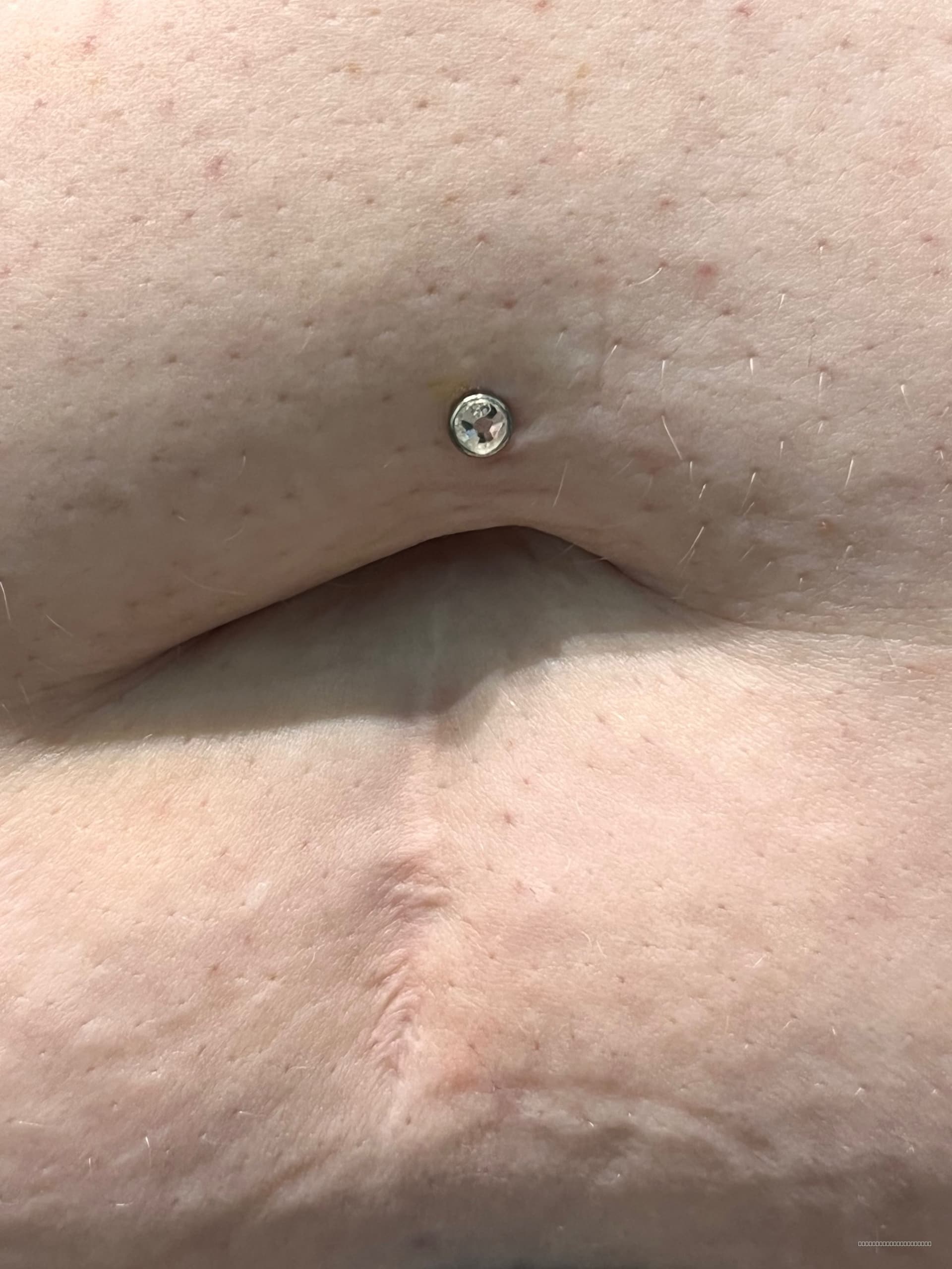 Implant Grade Titanium | Platinum Body Piercings, North Star Mall, San Antonio TX