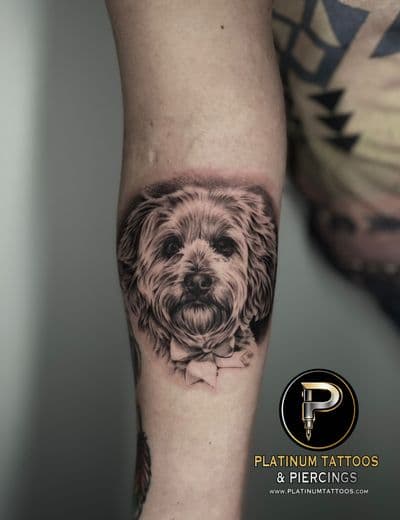 Pet Portrait tattoo on the Forearm by Remy at Platinum Tattoos & Piercings, San Antonio TX