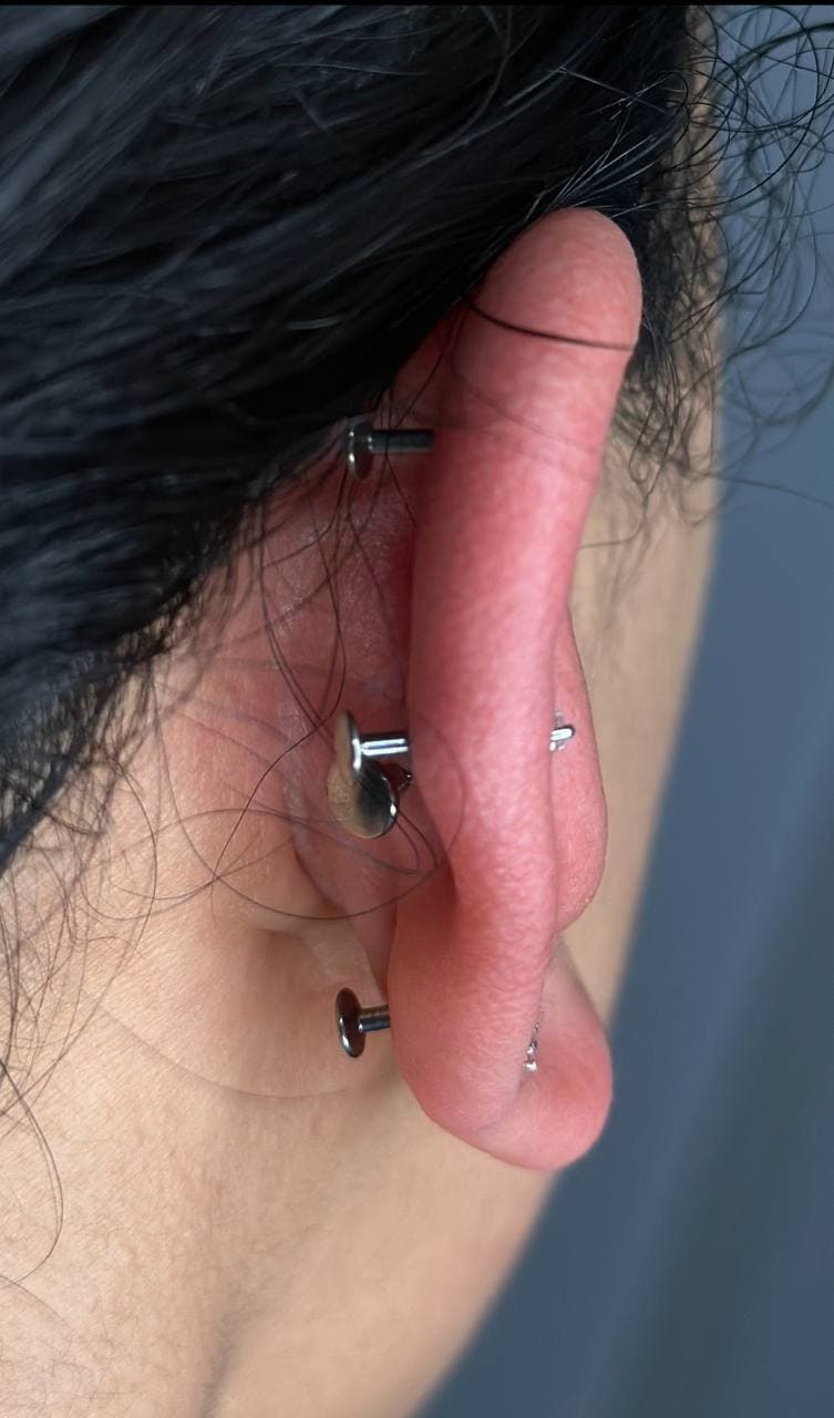 Fresh ear piercings with long initial posts showing why downsizing is needed — Platinum Tattoos & Piercings San Antonio