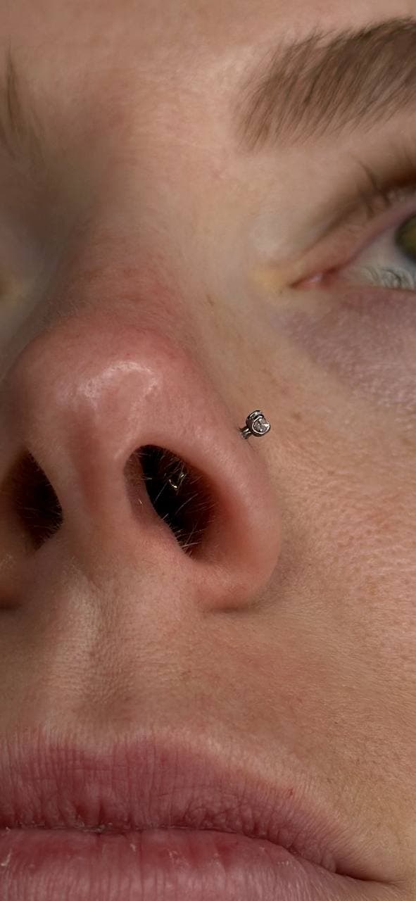 Nostril piercing with fitted flatback stud after downsize — Platinum Tattoos & Piercings